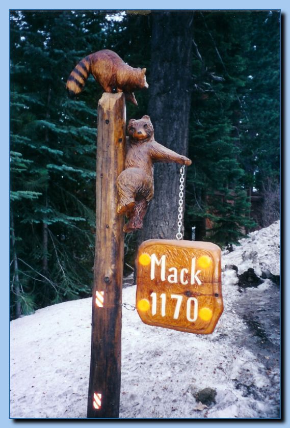 2-71 bear sign-archive